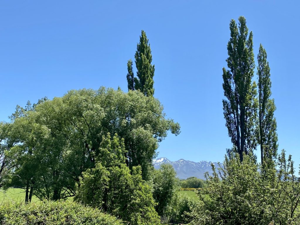 view of mountains from twizel