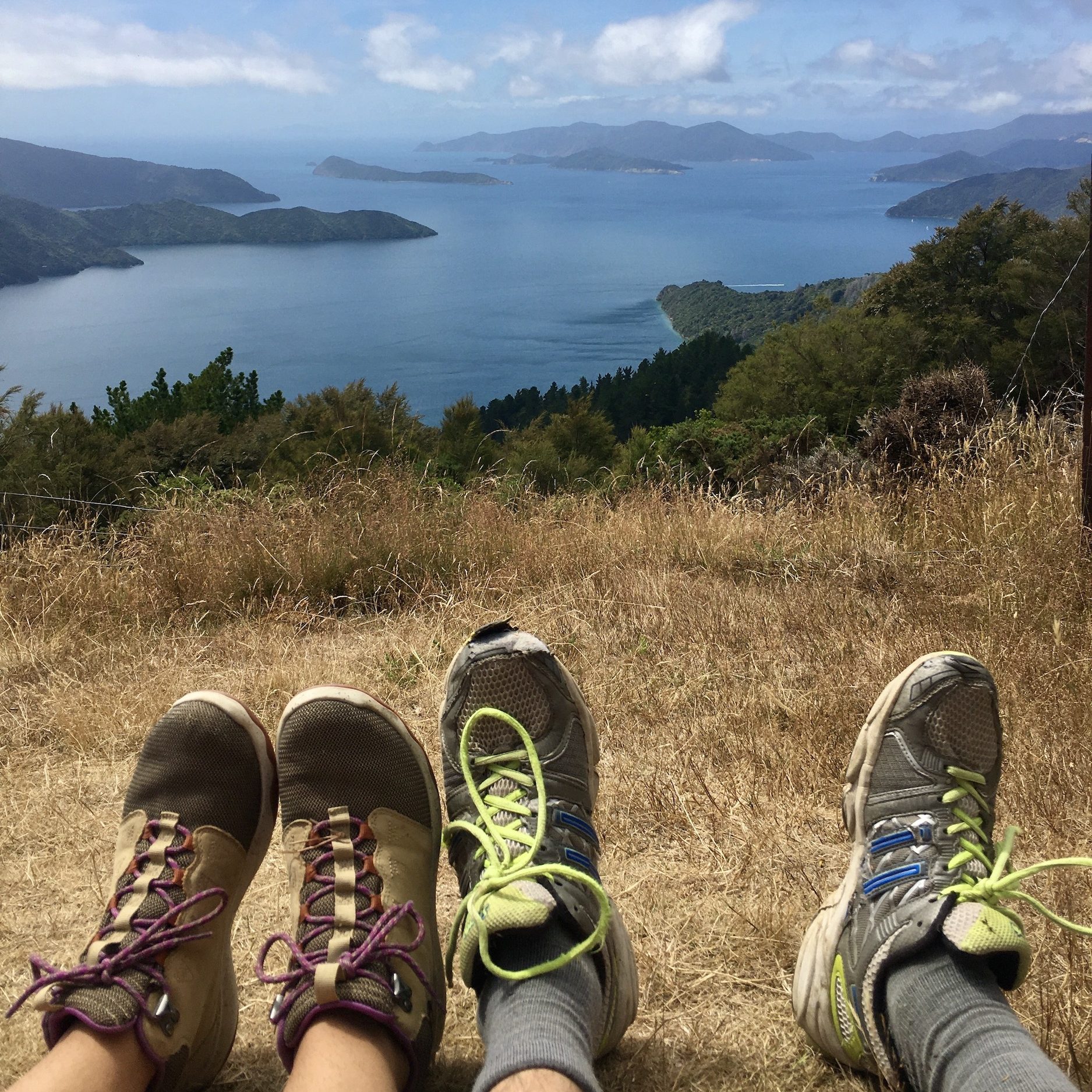Hiking boots in front of the view from Queen Charlotte Track, Picton, New Zealand