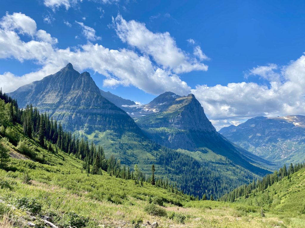 glacier national park itinerary: green forest and moountains