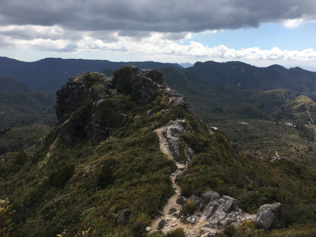 peak of the pinnacles hike, north island, new zealand