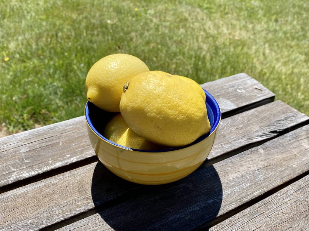 how to make elderflower cordial: lemons in a bowl