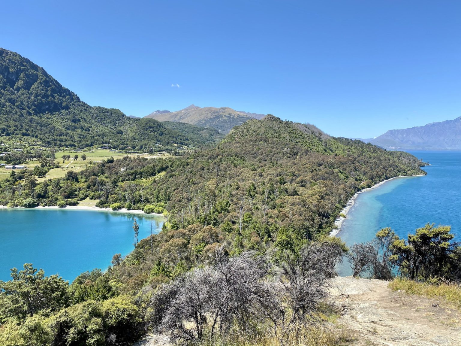 Hiking Bob's Cove Track Queenstown – Niki in New Zealand
