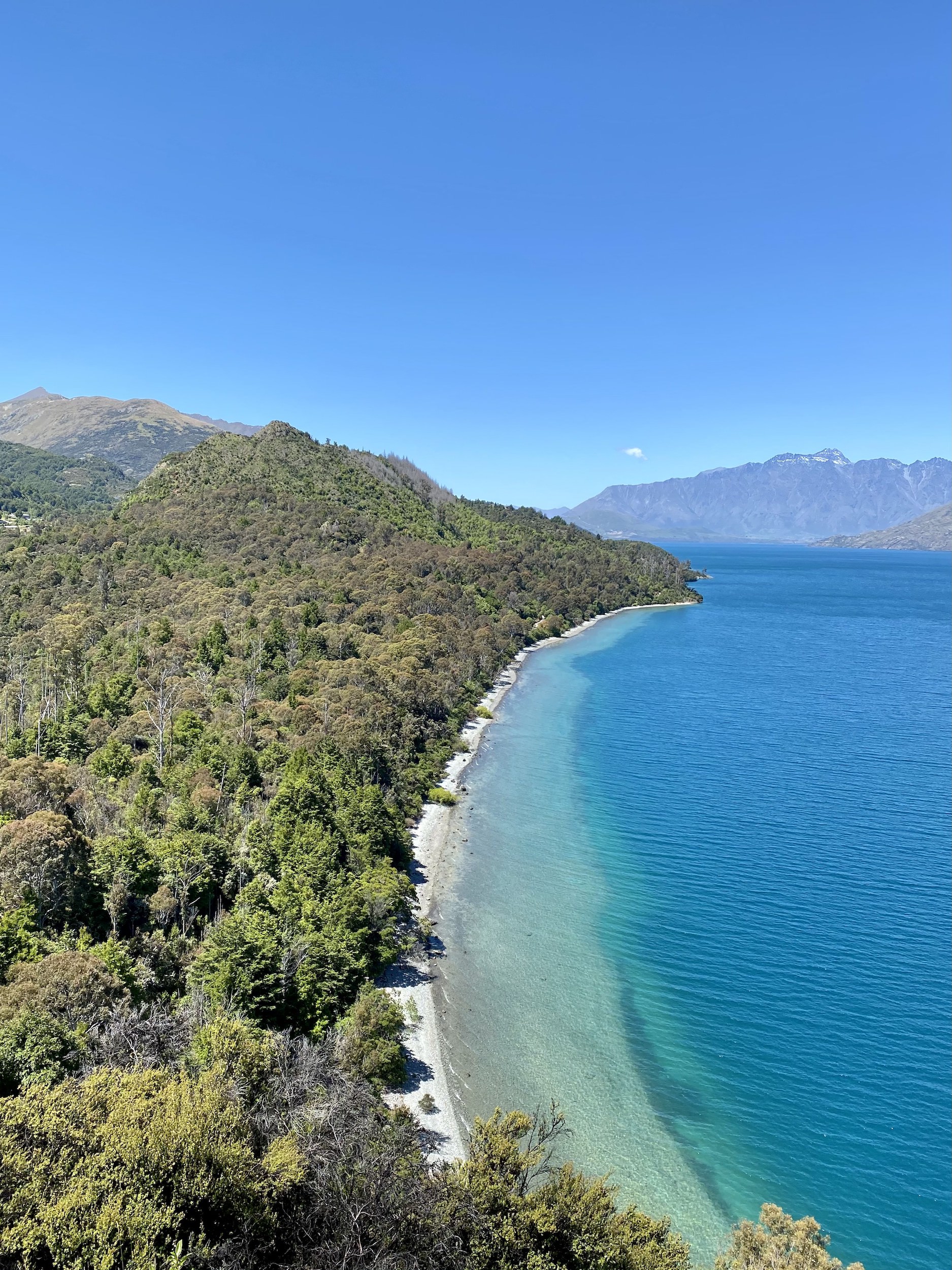 Hiking Bob's Cove Track Queenstown – Niki in New Zealand