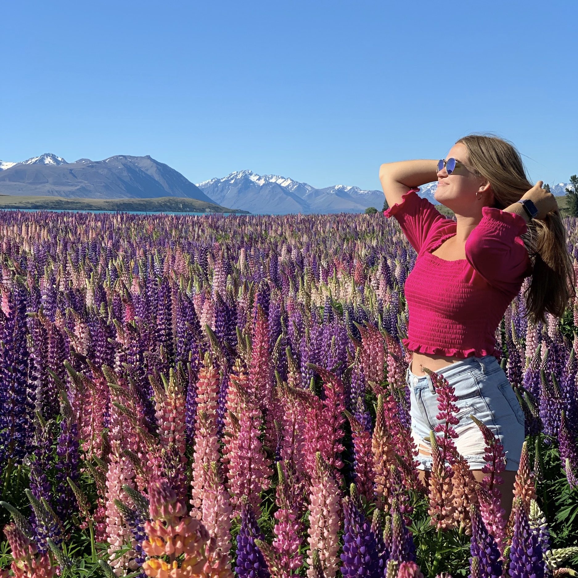 where to see lupins south island: niki poses in a field of lupins