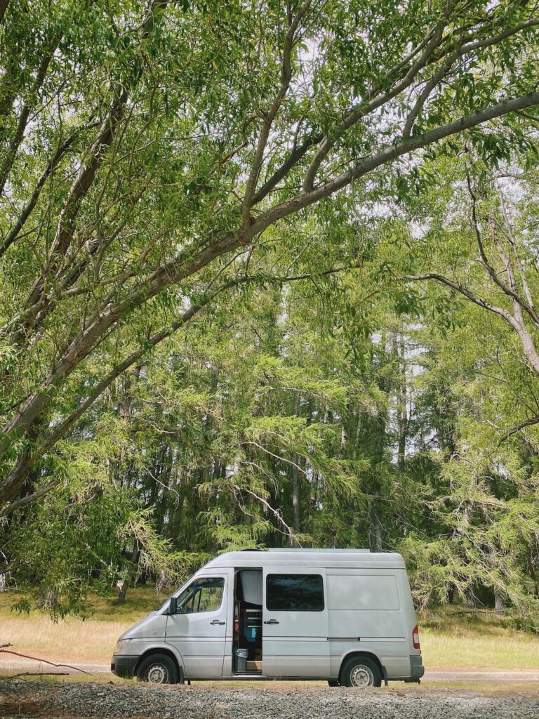 essential van life packing list: the van in front of some trees