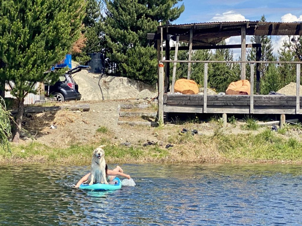 one second everyday -- barney the dog on a paddle board