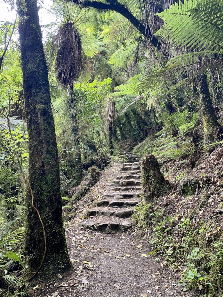 west coast day 1: riwaka resurgence trail and stairs