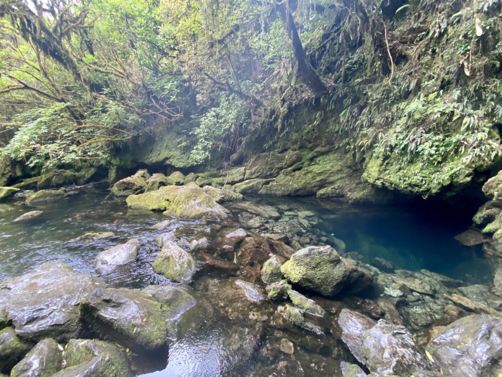 west coast day 1: riwaka resurgence water