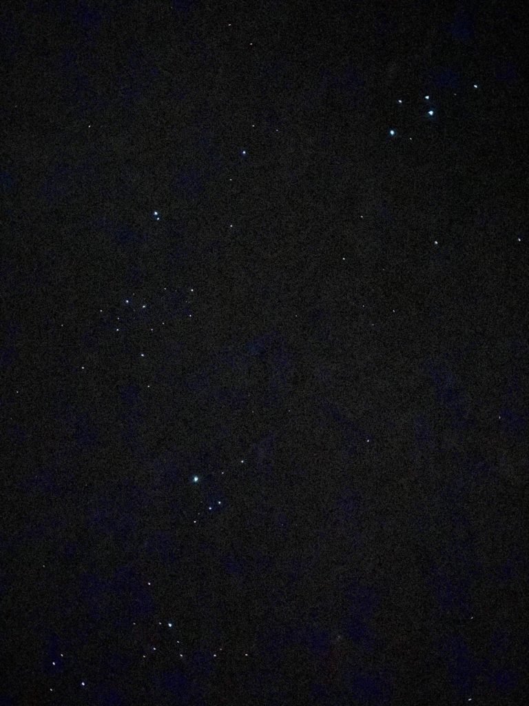 west coast day 3: hokitika glow worms at night