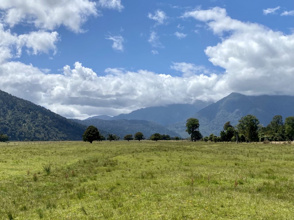 west coast day 6: lake matheson walk