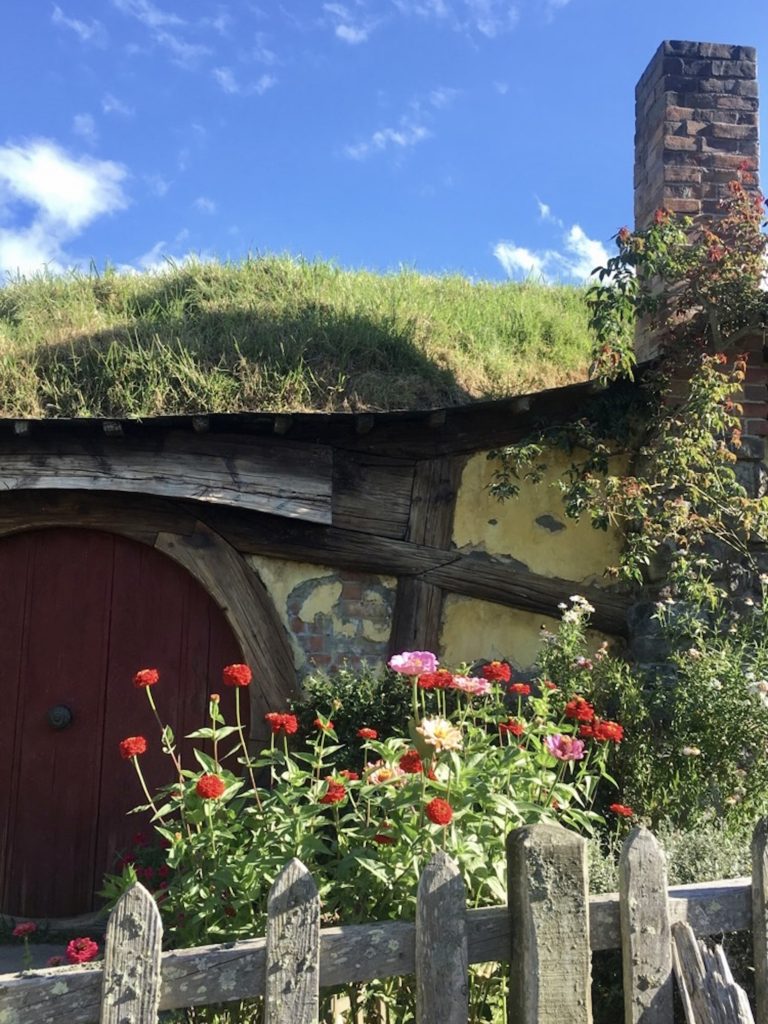 hobbit hut in new zealand
