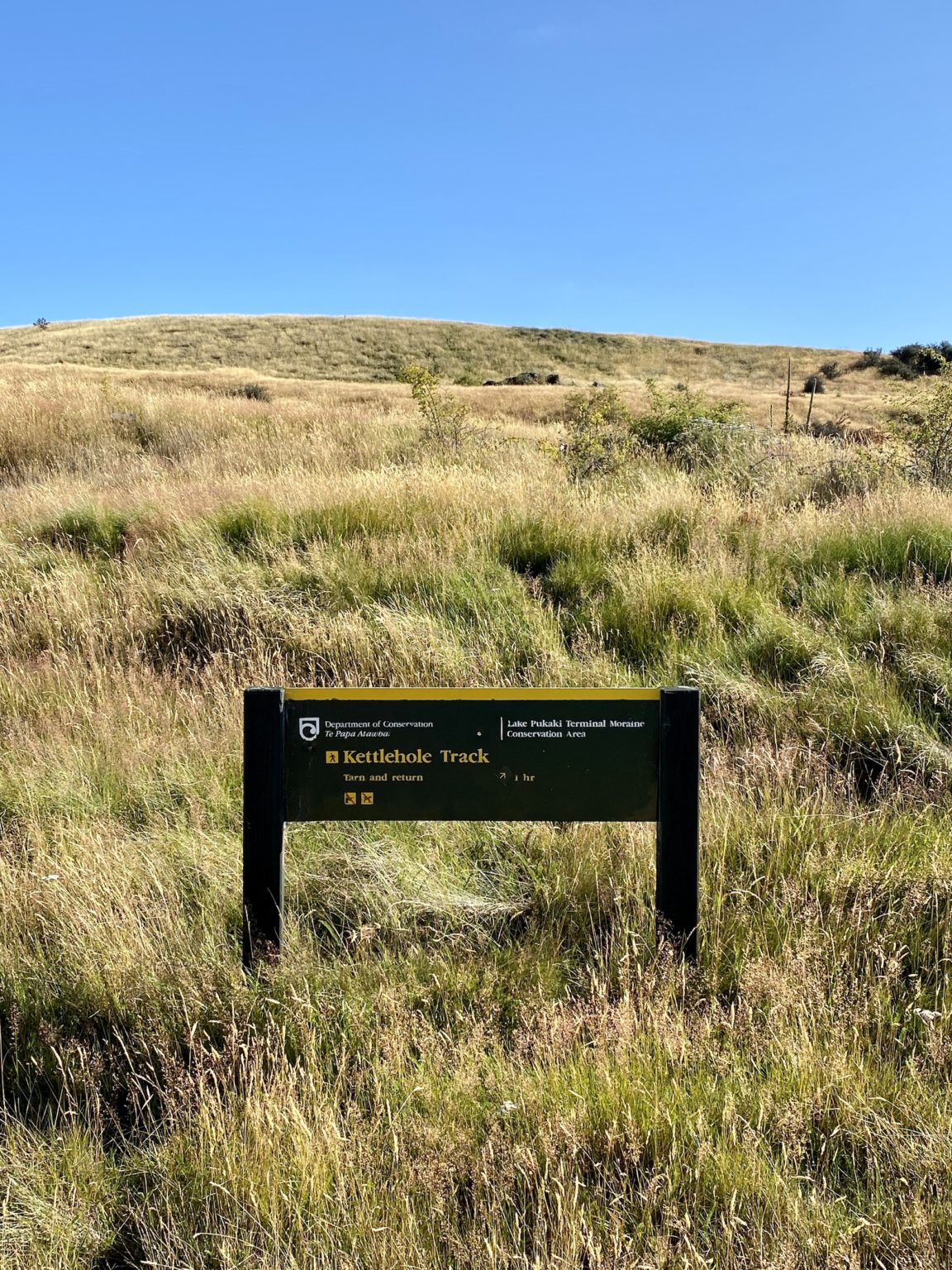 Pukaki Kettle Hole Track: Must-Have Tips & Info – Niki in New Zealand