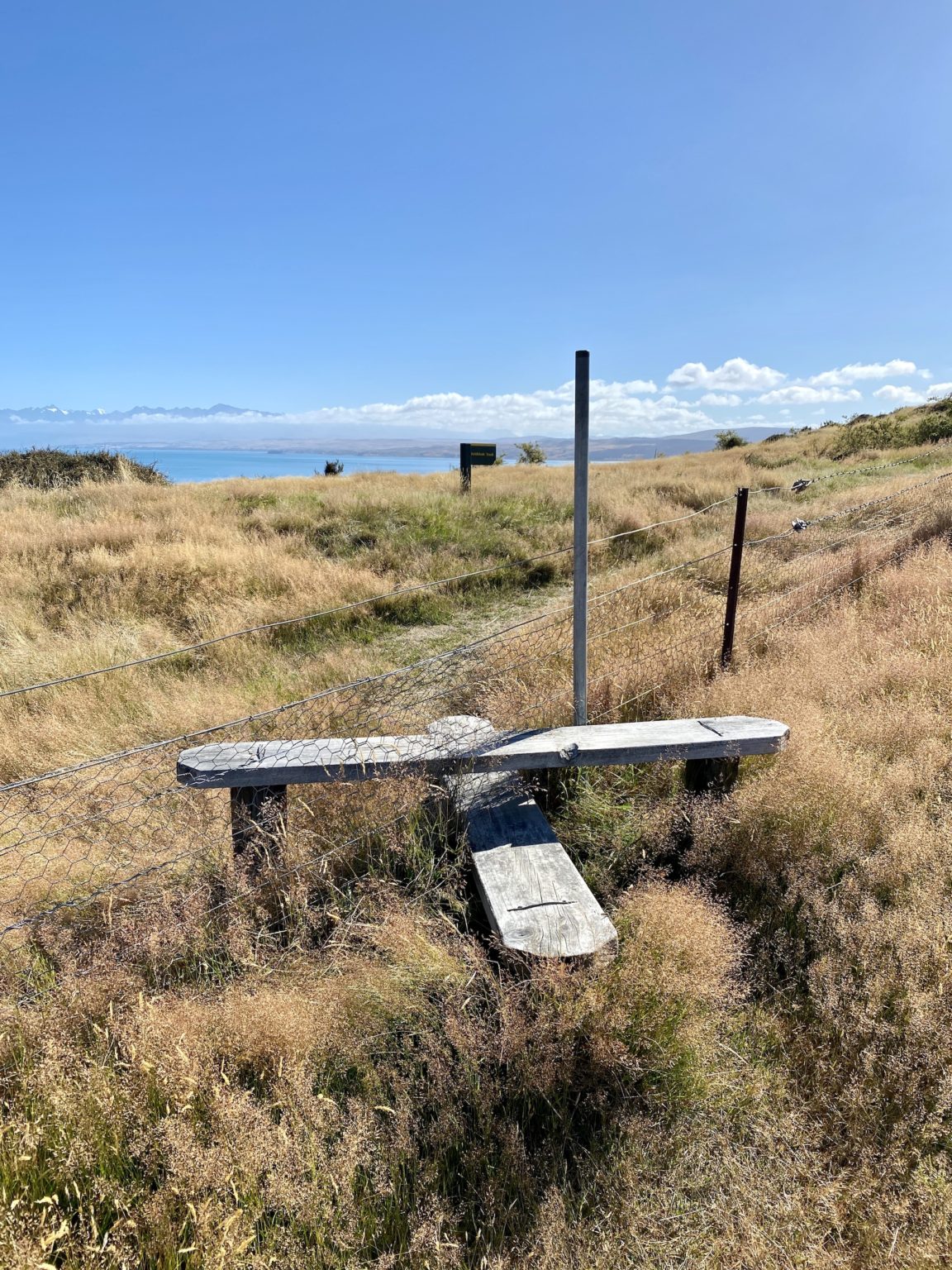 Pukaki Kettle Hole Track: Must-Have Tips & Info – Niki in New Zealand