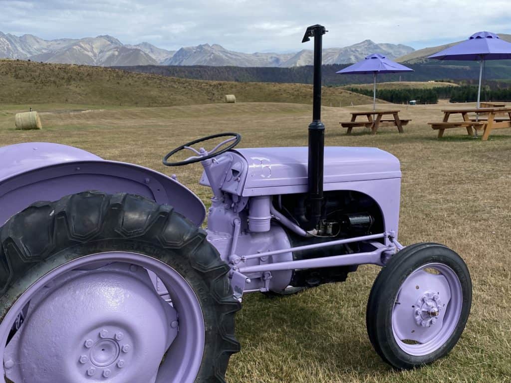 purple tractor at mt cook lavender farm