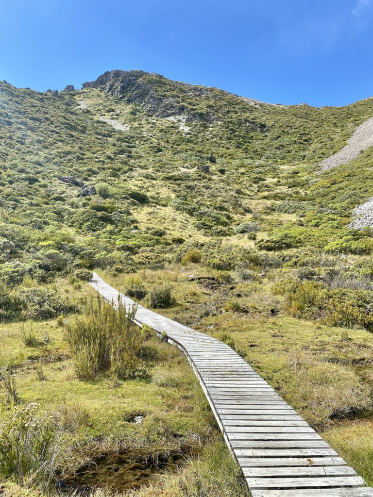 boardwalk trail at the top of red tarns track