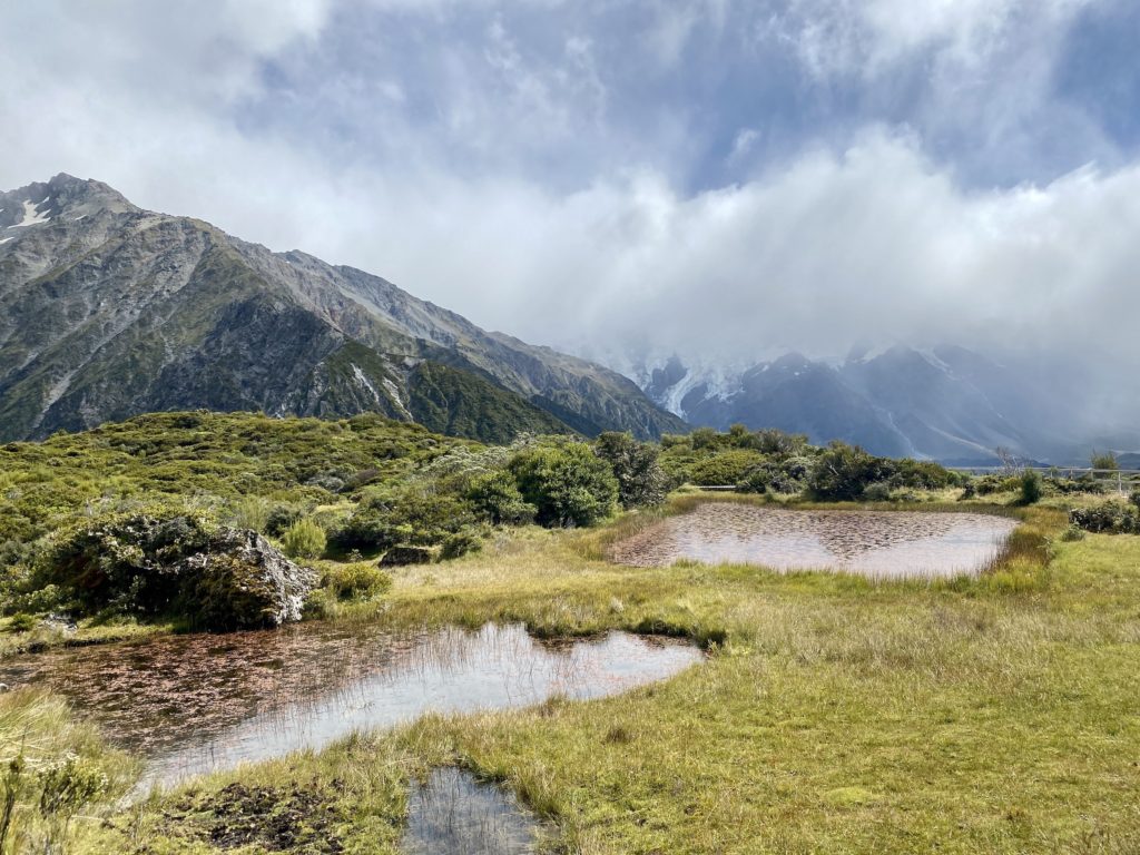 red tarns track: two mountain lakes surrounded by grass and plants