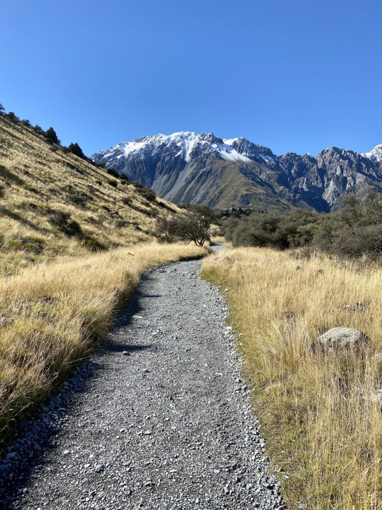 tussocks, trail, and snow-capped mountains