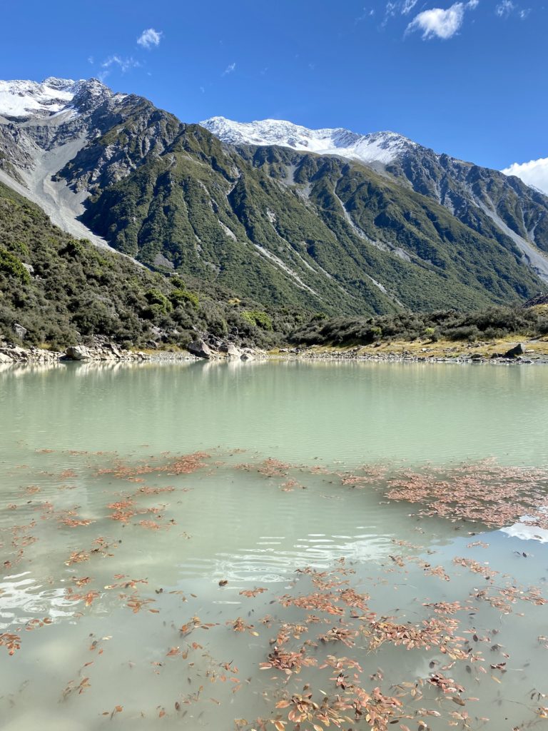 blue lakes and tasman glacier: green lake with red algae