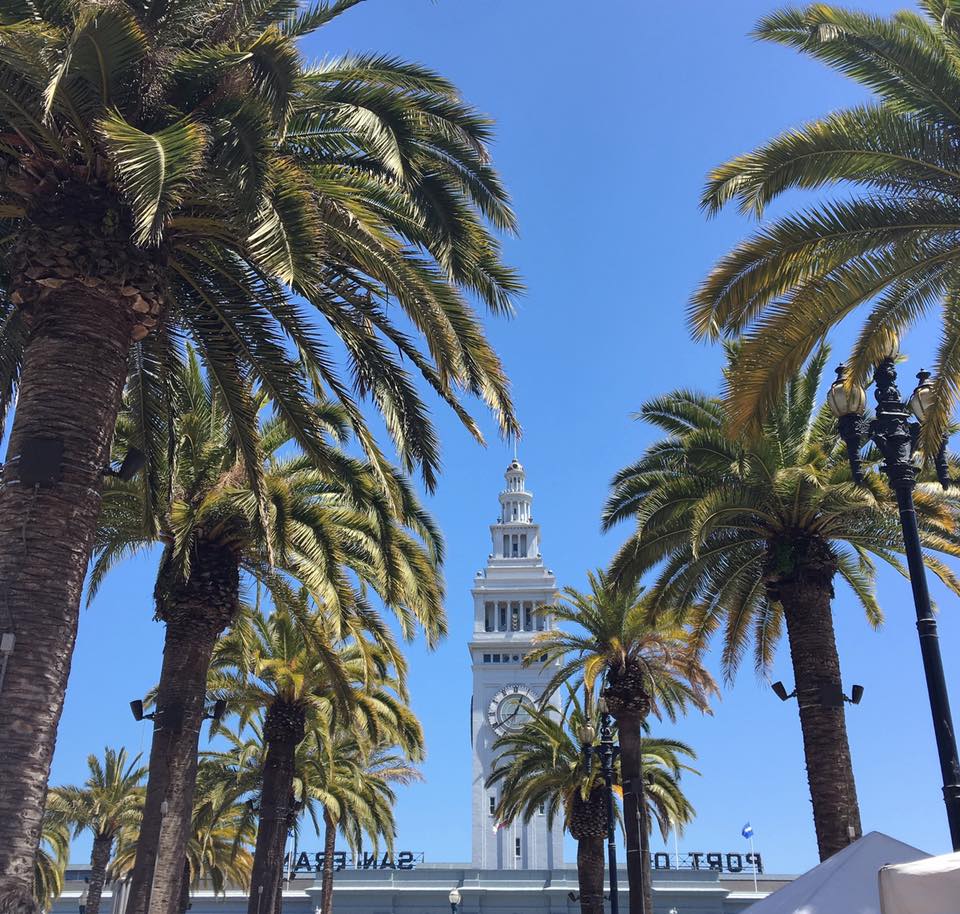 San Francisco travel guide: Ferry building and palm trees