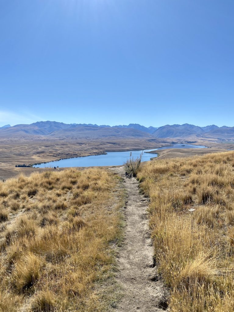 trail leading to view of lake alexandrina