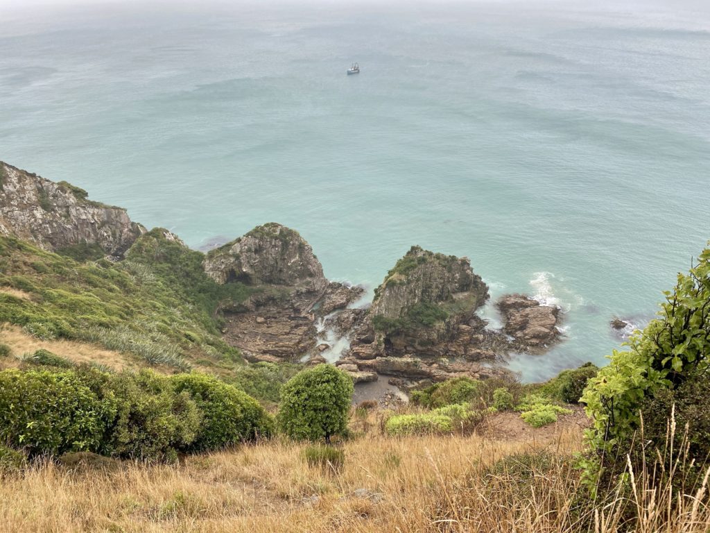 Sea and rocks from Nugget Point trail