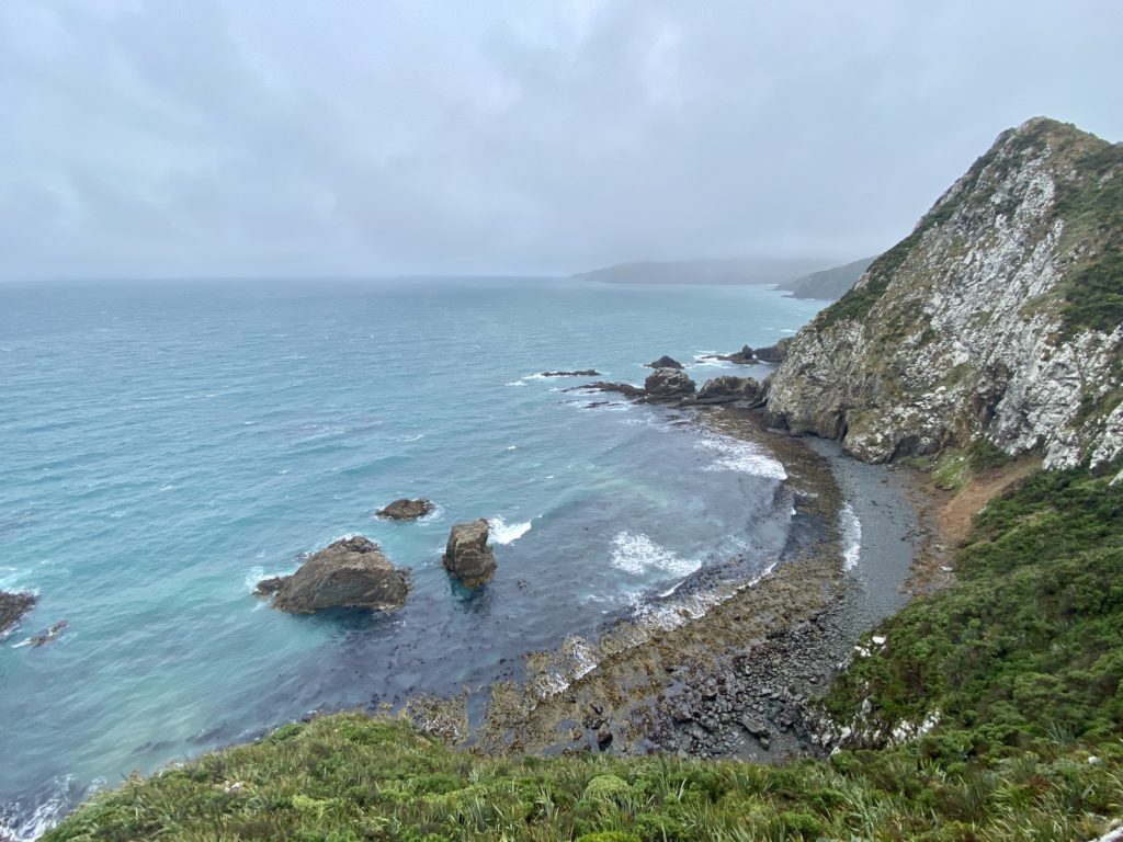 The shoreline at Nugget Point