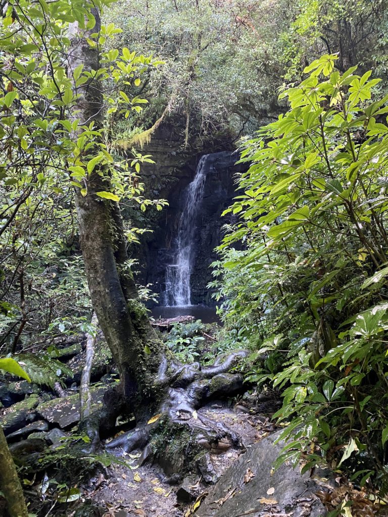 best waterfalls in the catlins: matai falls