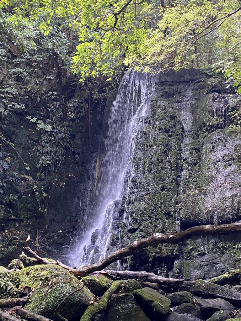 best waterfalls in the catlins: horseshoe falls
