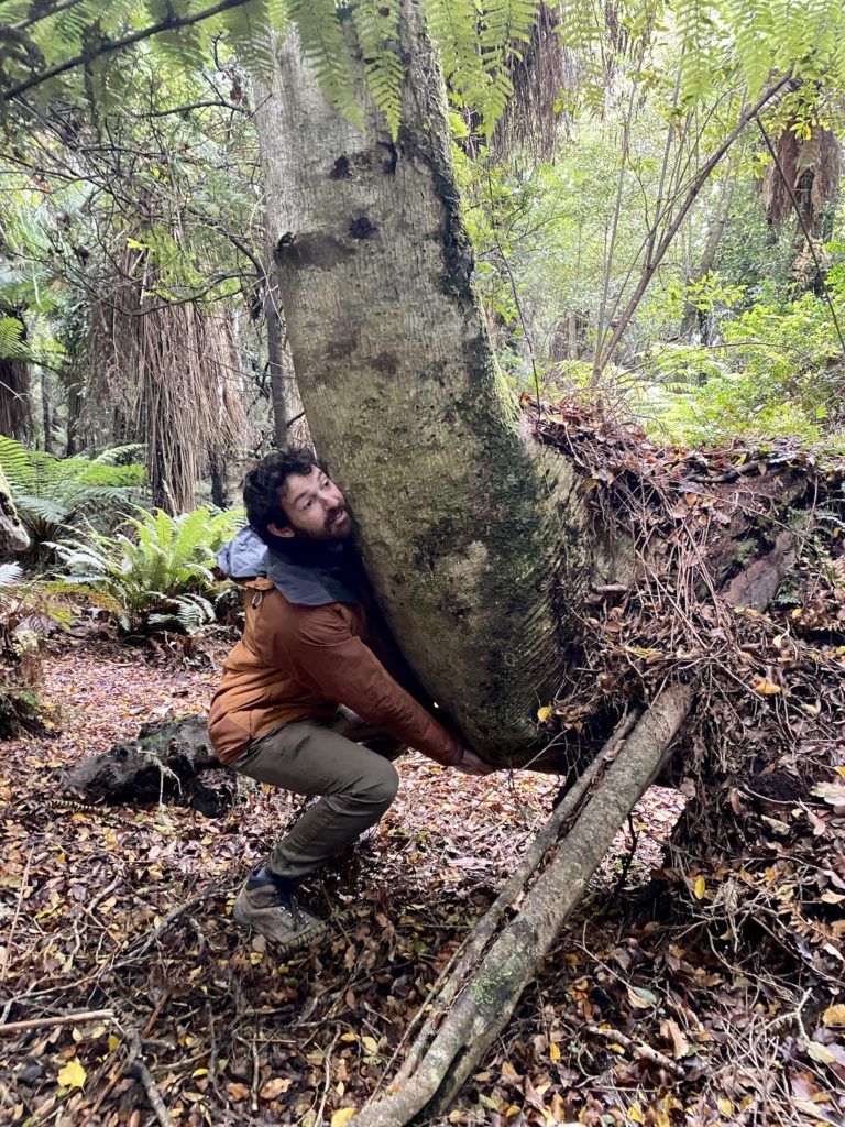 Cathedral Caves: ben pretends to lift up a weirdly shaped tree