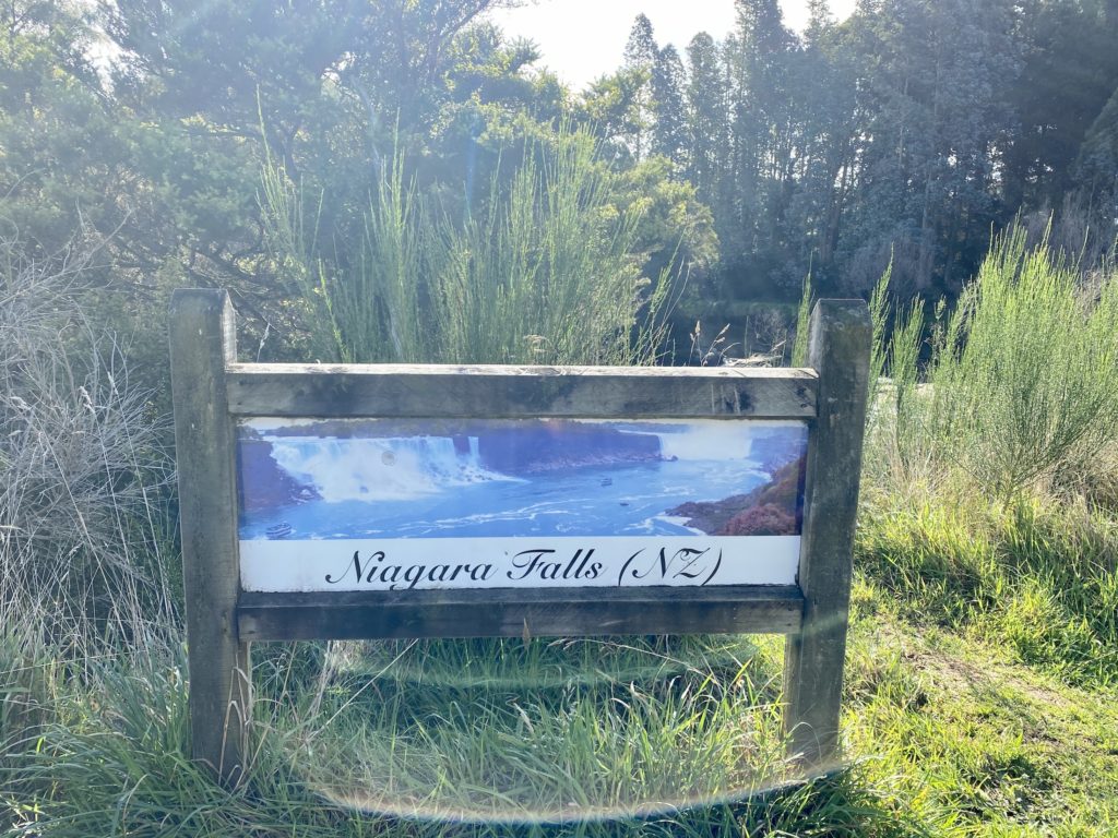 niagara falls sign