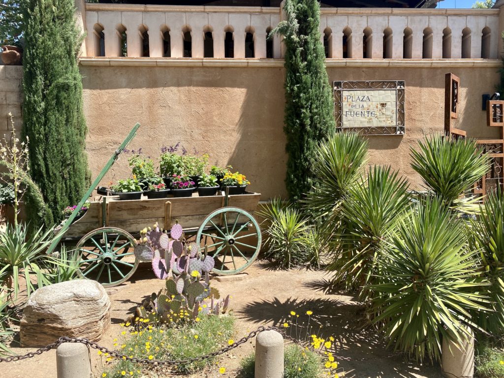 Cacti and plants at Plaza de la Fuente, Tlaquepaque shopping center, Sedona, Arizona