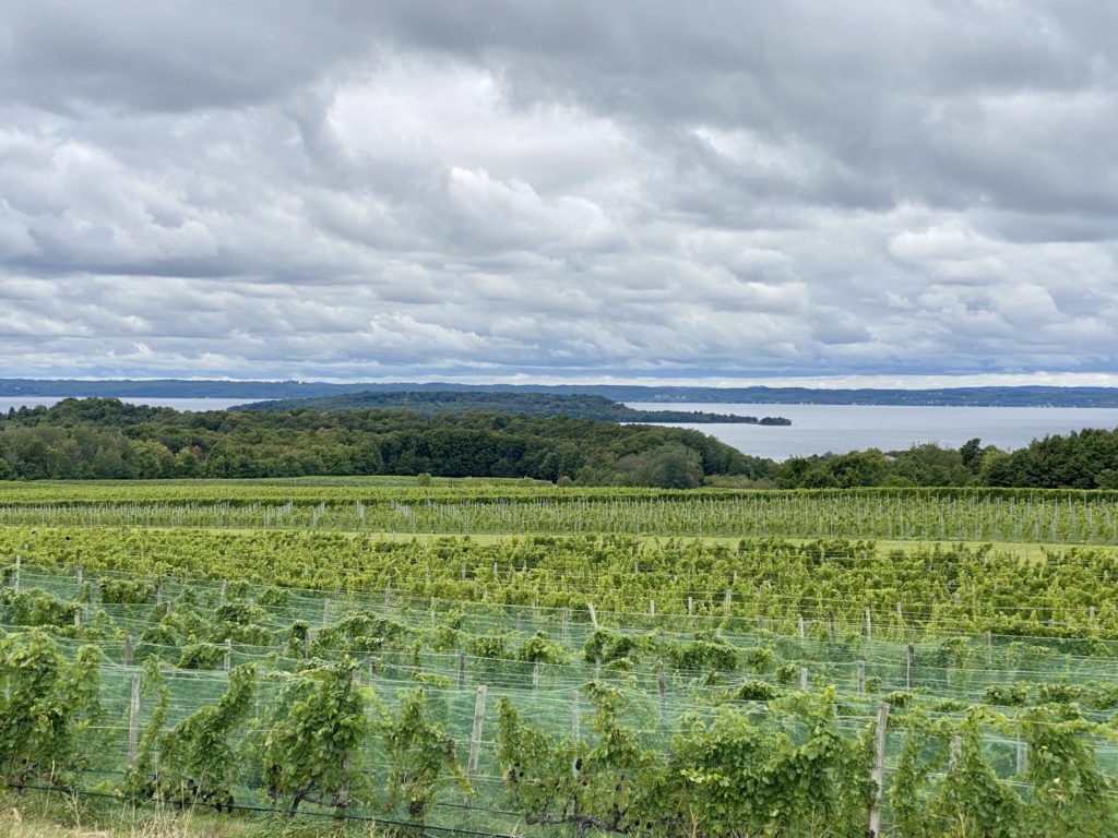 Lake Michigan Circle: wineries on the Leelanau Peninsula, Michigan