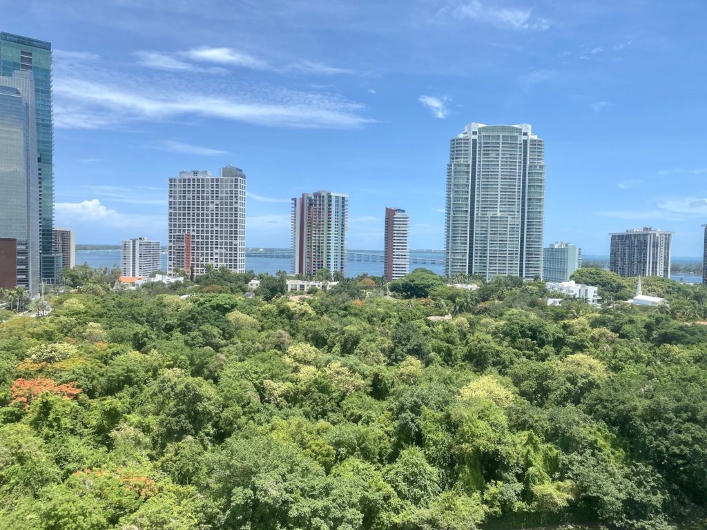 View from the rooftop pool at the Novotel Brickell hotel