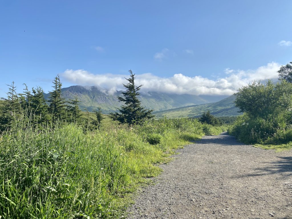 Trees and path to Flattop Mountain peak