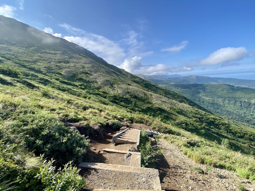 Stairs leading down Flattop Mountain