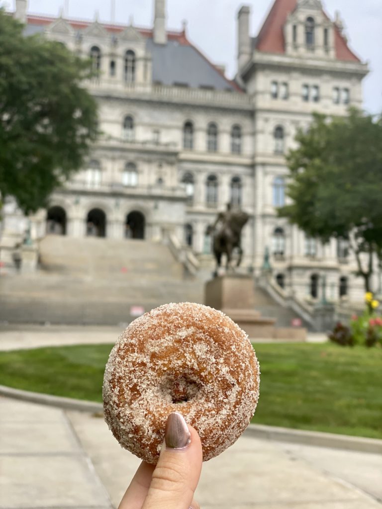 Cinnamon sugar donut in front of the New York State Capital Building