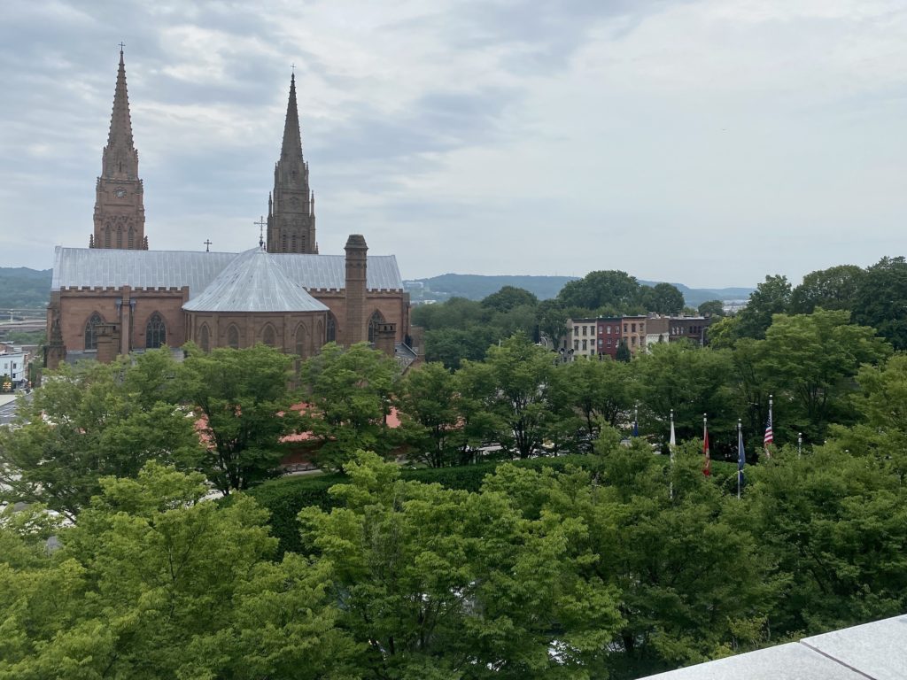 Church spires and trees in Albany, New York