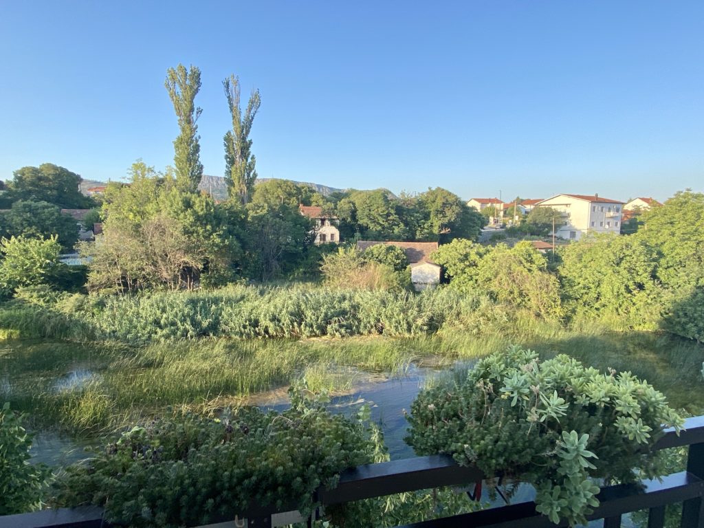 View of trees and pond from our room at Motel Most, Bosnian countryside