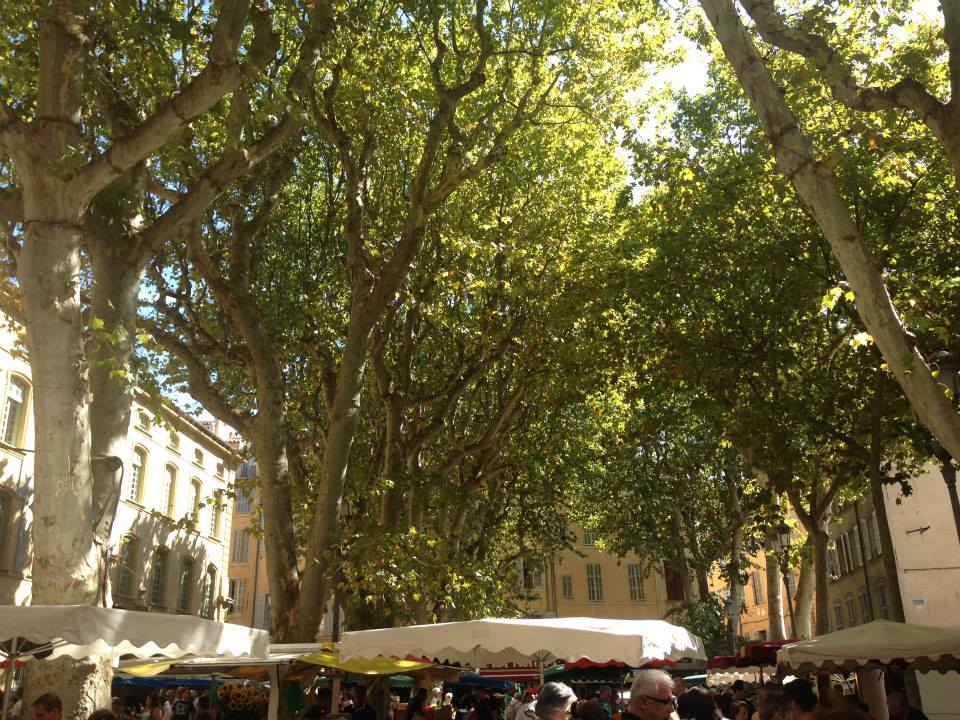 Weekly market on the Place Richelme, Aix-en-Provence, France