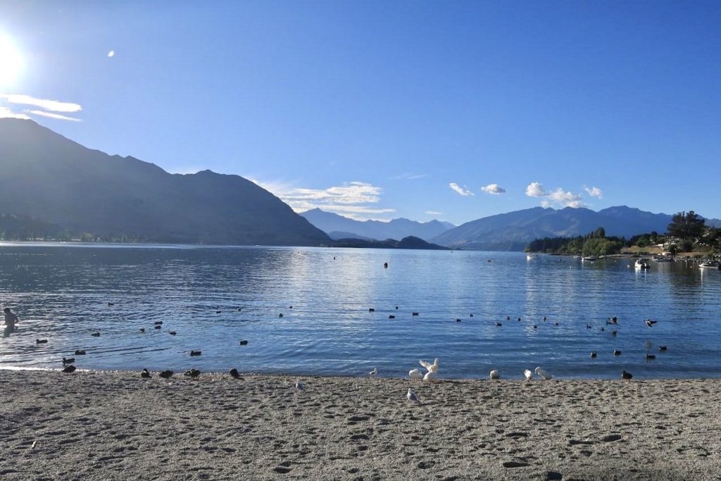 South Island New Zealand road trip: Shores of Lake Wanaka, New Zealand