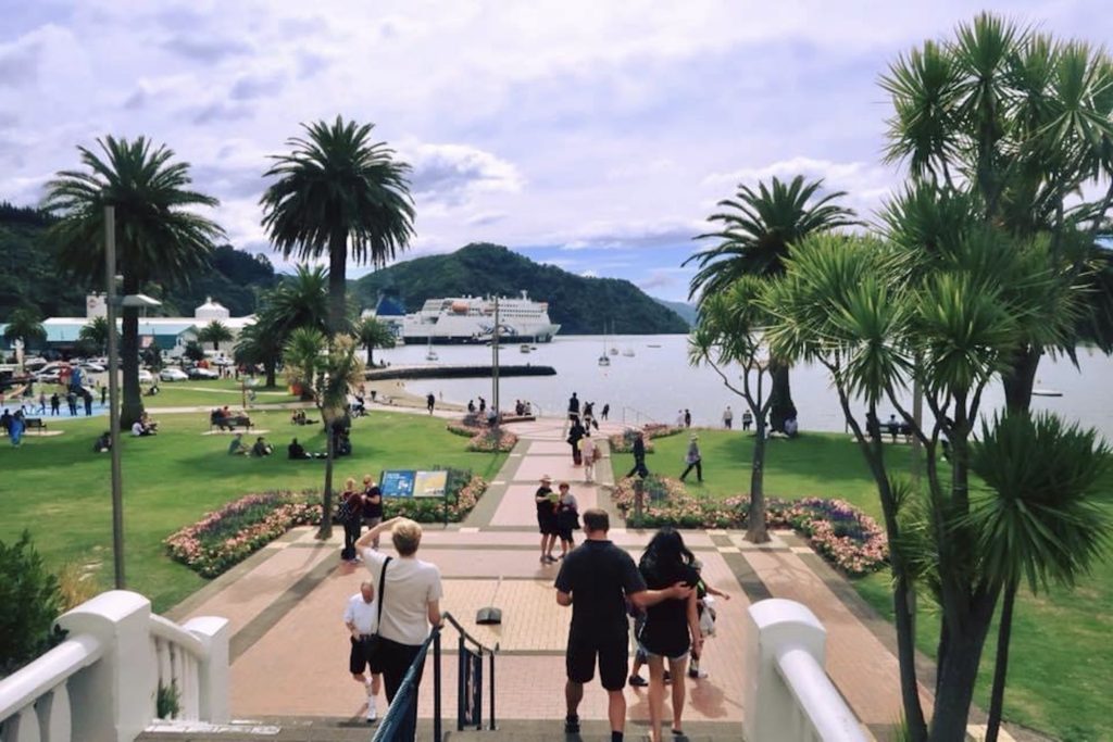 View of Nelson, New Zealand bay and palm trees