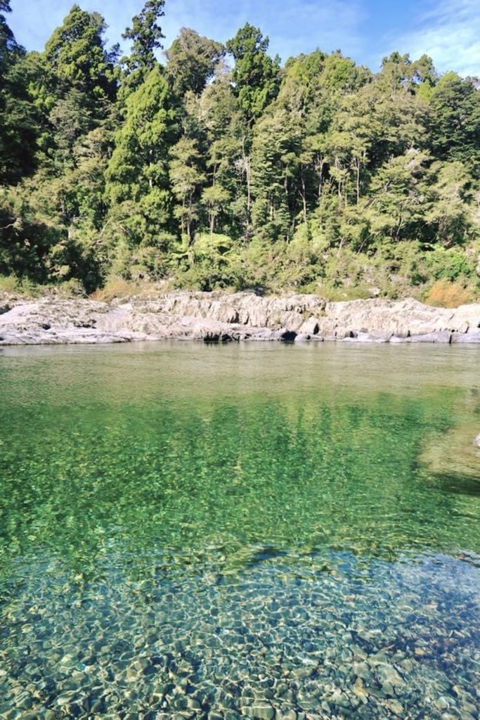 South Island New Zealand road trip: Crystal clear green water in Abel Tasman National Park