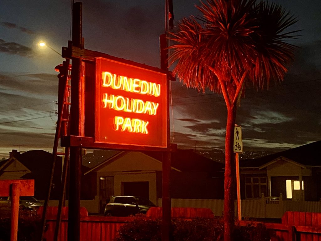 Dunedin Holiday Park sign and palm tree at night