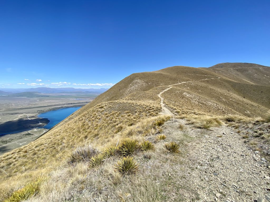 Bottom of Lake Ohau and winding trails with local tussocks