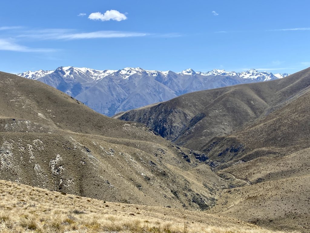 Mountain valleys and snow-capped Southern Alps in the distance