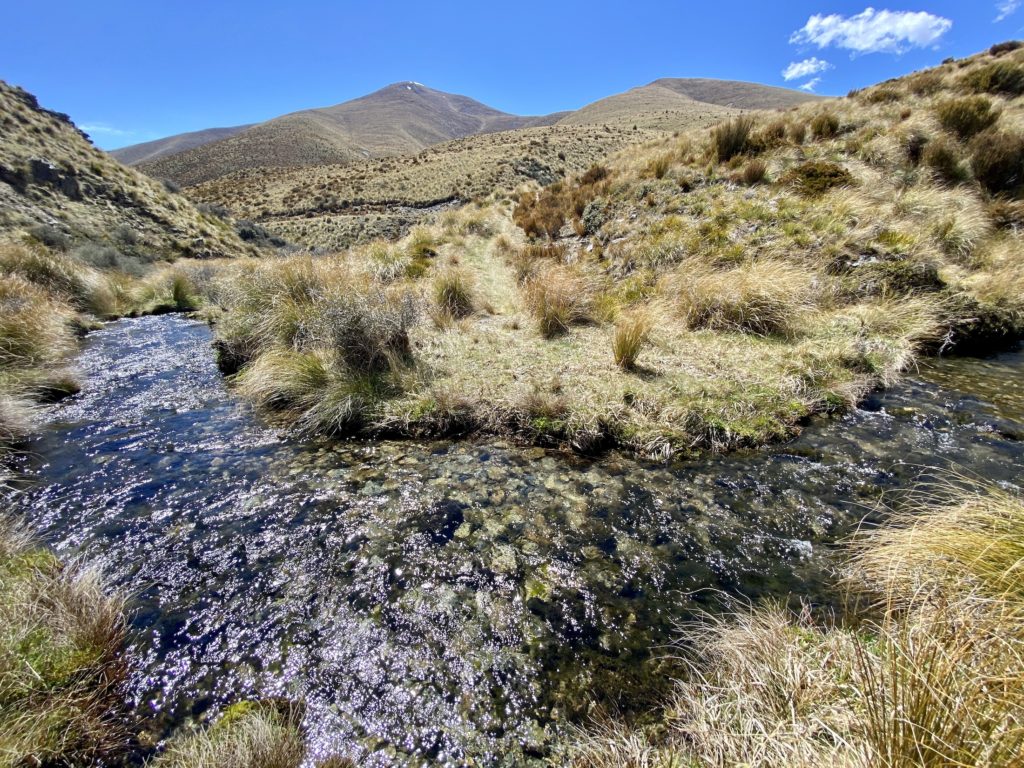 River crossing, tussocks, and mountain peaks in the distance