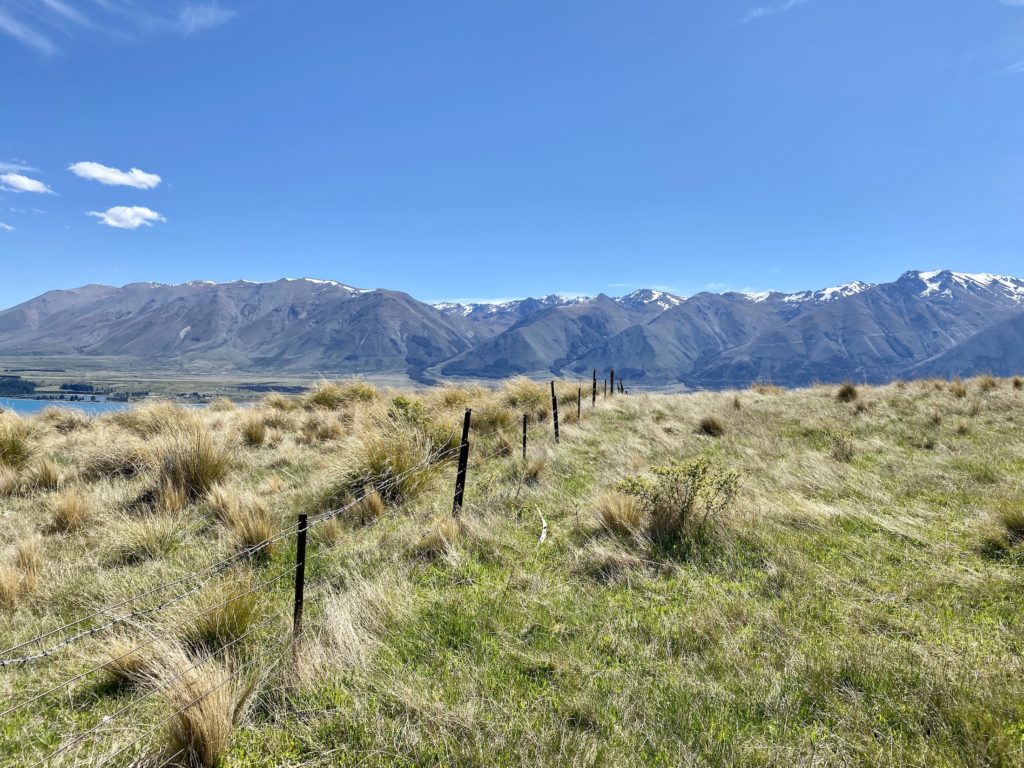 Open field with Southern Alps mountain range in the background