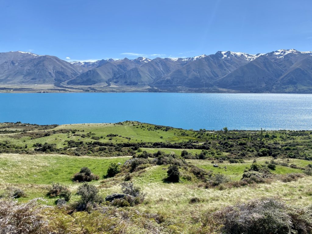 Grassy fields, trees, and Lake Ohau in the background