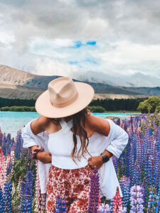 Things to do in Lake Tekapo: Field of lupins, New Zealand