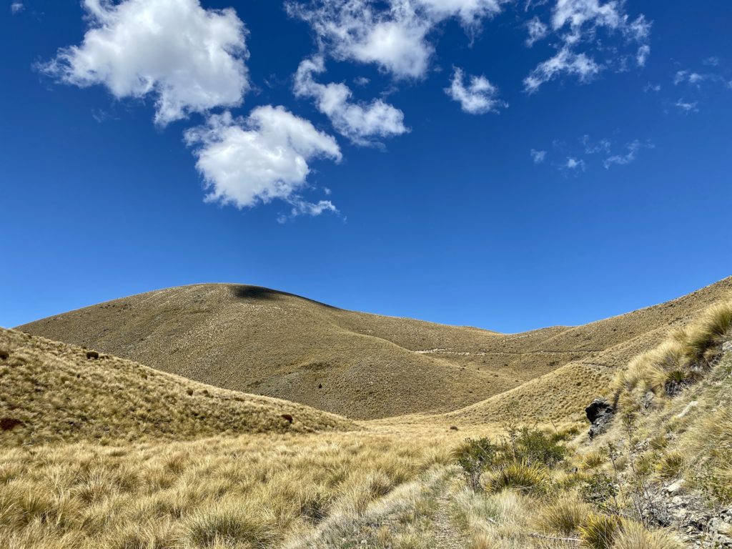 One Second Everyday in 2021: Rolling hills on the Greta Track, New Zealand